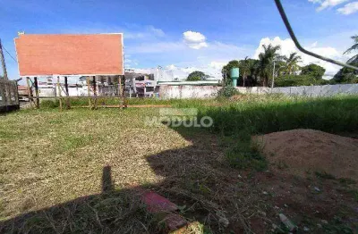 Terreno comercial para alugar na Av Professora Minervina Candida De Oliveira, --, Martins, Uberlândia