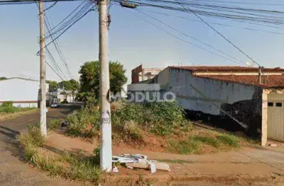 Terreno comercial para alugar na Avenida dos Eucaliptos, --, Jardim Patrícia, Uberlândia