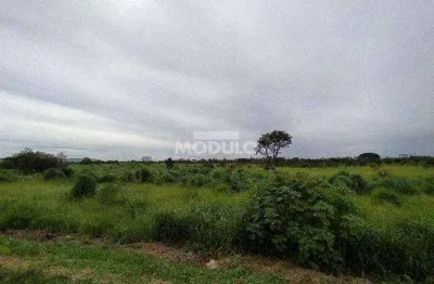 Terreno comercial para alugar na Rodovia BR-365, --, Conjunto Alvorada, Uberlândia