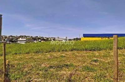 Área comercial para locação bairro morada da colina