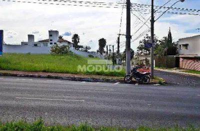 Terreno comercial para alugar na Avenida Nicomedes Alves dos Santos, --, Morada da Colina, Uberlândia
