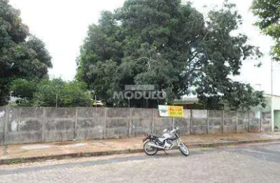Terreno para aluguel, presidente roosevelt - uberlândia/mg