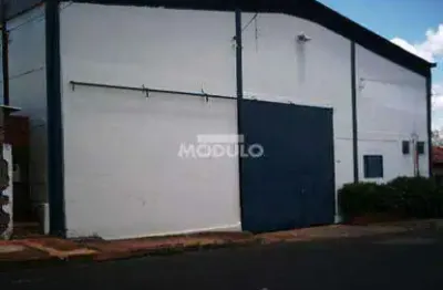 Barracão para locação no bairro nossa senhora das graças