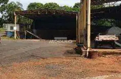Barracão / Galpão / Depósito para alugar na Avenida José Andraus Gassani, --, Distrito Industrial, Uberlândia