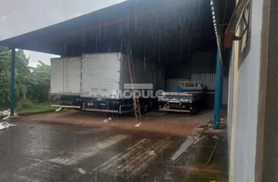 Barracão / Galpão / Depósito para alugar na Rua Aguapé, --, Chácaras Tubalina e Quartel, Uberlândia
