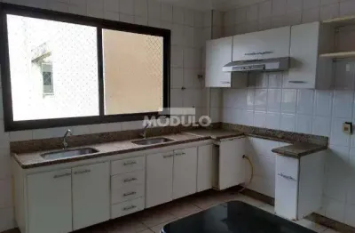 Apartamento com 3 quartos para alugar na Rua José Nonato Ribeiro, --, Cazeca, Uberlândia