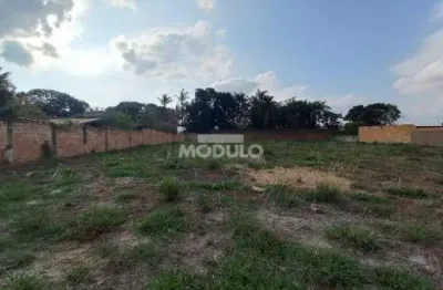 Terreno comercial para alugar na Rua Honorato Fagundes da Costa, --, Morada Nova, Uberlândia