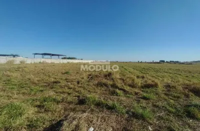 Área comercial/industrial para locação bairro centro empresarial leste