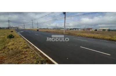 Terreno comercial para alugar na Avenida Aldo Borges Leão, --, Jardim Canaã, Uberlândia
