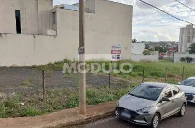 Terreno comercial para alugar na Avenida Oscarina Cunha Chaves, --, Patrimônio, Uberlândia