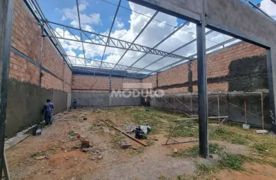 Barracão / Galpão / Depósito para alugar na Rua Professora Maria Célia Cence, --, Shopping Park, Uberlândia