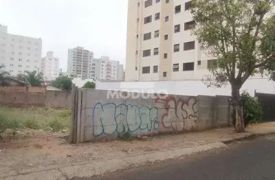 Terreno à venda na Rua Luíza de Jesus, --, Saraiva, Uberlândia
