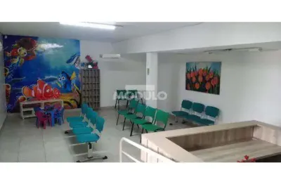 Imóvel comercial para locação no jardim das palmeiras
