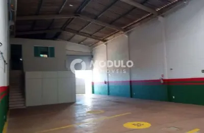Barracão / Galpão / Depósito para alugar na Rua Sacadura Cabral, --, Alto Umuarama, Uberlândia
