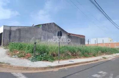 Terreno à venda na Rua Leopoldo Bulhões, --, Pampulha, Uberlândia