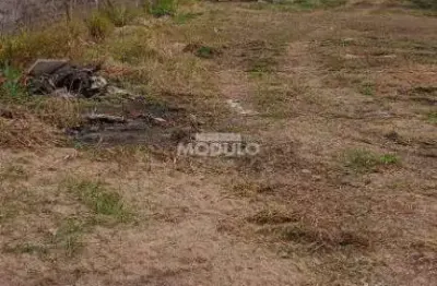 Terreno à venda na Avenida Ubiratan Honório de Castro, --, Santa Mônica, Uberlândia