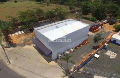 Barracão / Galpão / Depósito para alugar na Avenida Aldo Borges Leão, --, Jardim Canaã, Uberlândia