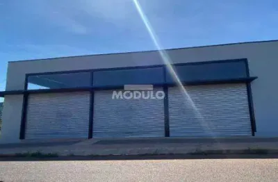 Galpão comercial para locação bairro segismundo pereira