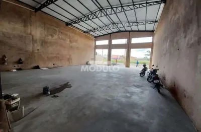 Barracão / Galpão / Depósito para alugar na Avenida Segismundo Pereira, --, Novo Mundo, Uberlândia