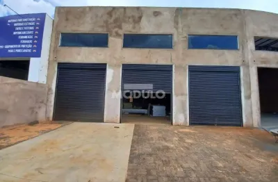 Barracão / Galpão / Depósito para alugar na Avenida Segismundo Pereira, --, Novo Mundo, Uberlândia