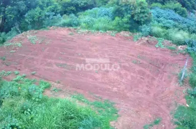 Terreno à venda na Rua João Ascindino da Costa, --, Nossa Senhora das Graças, Uberlândia