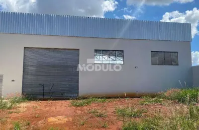Barracão comercial para locação bairro custodio pereira