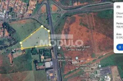Terreno à venda na Rodovia BR-050, --, Custódio Pereira, Uberlândia