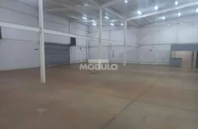 Barracão / Galpão / Depósito para alugar na Avenida Dario Fagundes da Costa, --, Novo Mundo, Uberlândia