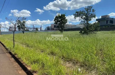 Terreno à venda na Via Marginal, --, Loteamento Centro Empresarial Leste I, Uberlândia