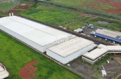 Galpão/depósito/barracão para aluguel, novo mundo - uberlândia/mg