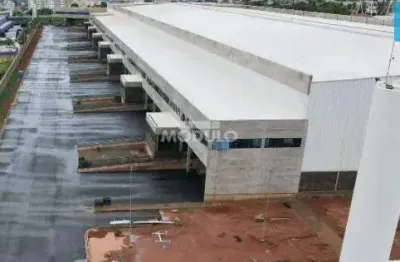 Barracão / Galpão / Depósito para alugar na Rodovia BR-050, --, Novo Mundo, Uberlândia