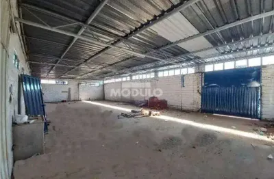 Barracão / Galpão / Depósito para alugar na Rua Iguaçu, --, Umuarama, Uberlândia