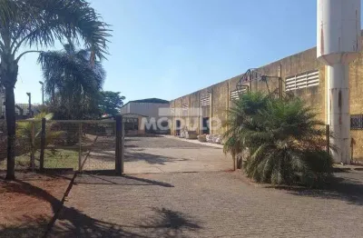 Galpão/depósito/barracão à venda, 10 vagas, distrito industrial - uberlândia/mg