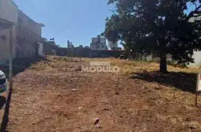 Terreno à venda na Rua Padre Pio, --, Martins, Uberlândia