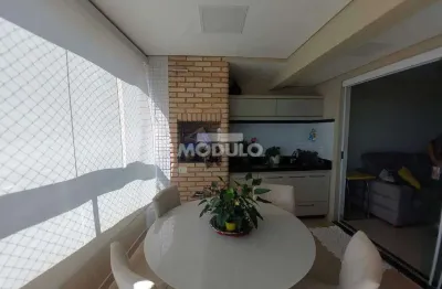 Apartamento à venda, 3 quartos, 2 suítes, 2 vagas, nossa senhora aparecida - uberlândia/mg
