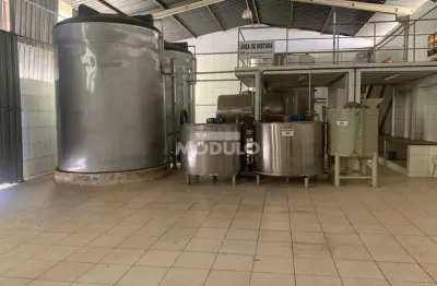 Galpão comercial para locação, bairro chácaras tubalina e quartel
