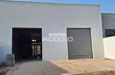 Ponto comercial para alugar na Avenida dos Ferreiras, --, Aclimação, Uberlândia