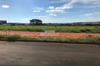 Terreno à venda na Alameda Dos Terenas, --, Aclimação, Uberlândia