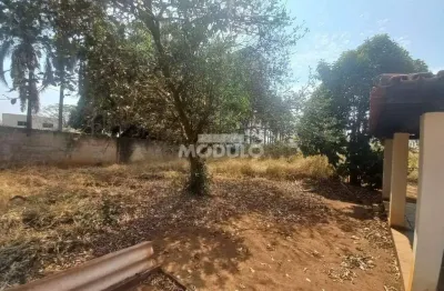 Chacara comercial para locação bairro chácaras tubalina e quartel
