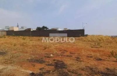 Terreno à venda, jardim inconfidencia - uberlândia/mg