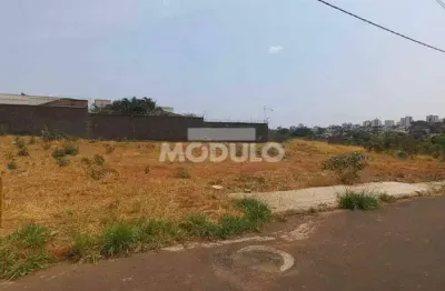 Terreno à venda na Rua Renato de Oliveira Grama, --, Jardim Inconfidência, Uberlândia