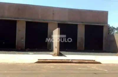Barracão / Galpão / Depósito para alugar na Avenida Doutor Oswaldo De Freitas, --, Luizote de Freitas, Uberlândia