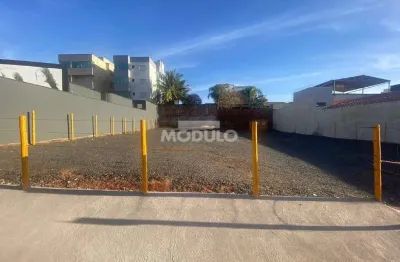 Terreno à venda na Avenida Anselmo Alves dos Santos, --, Santa Mônica, Uberlândia