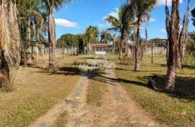 Chácara / sítio à venda na Rua das Paineiras, --, Panorama, Uberlândia