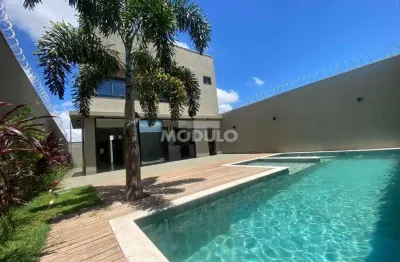 Casa com 4 quartos à venda na Rua Doutor Francisco Mineiro de Lacerda, --, Loteamento Portal do Vale II, Uberlândia