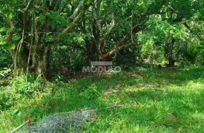 Chácara / sítio à venda na Avenida Rio Acima, --, Shopping Park, Uberlândia