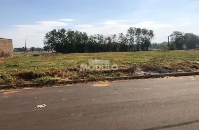 Terreno à venda na Rua Euclides Ferreira Tavares, --, Aclimação, Uberlândia