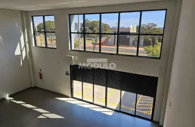 Barracão / Galpão / Depósito para alugar na Avenida Victor Alves Pereira, --, Novo Mundo, Uberlândia