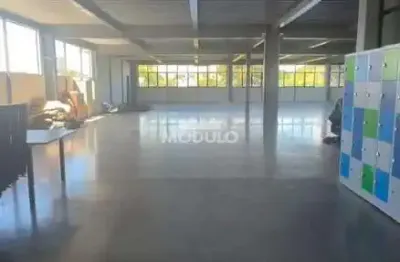 Laje comercial para locação, bairro granja marileusa