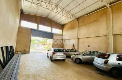 Barracão / Galpão / Depósito para alugar na Avenida Babel, --, Jardim Canaã, Uberlândia
